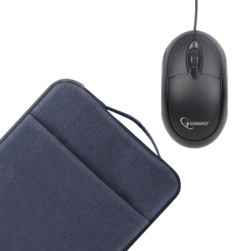 Laptop Bag and Mouse